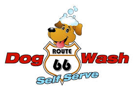 Dogs get washed and shined at self-service dog washes.