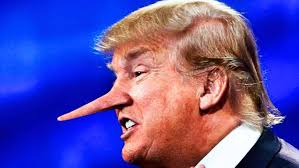 Trump's nose has grown as he fabricated lies.